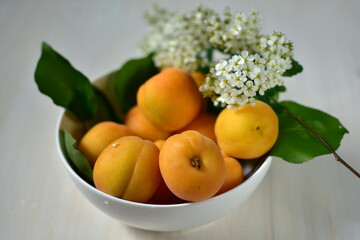 apricots in a bowl on a wooden table