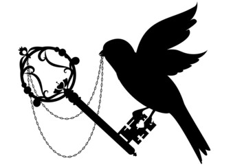 vector illustration with old key, bird and chain in black color