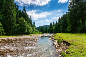 mountain river runs through countryside valley. beautiful green nature landscape in summer. stones on the grassy shore on a sunny day. clouds on the blue sky - Powered by Adobe