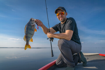 Successful perch fishing. Fisherman with spinning tackle holds big perch fish on boat