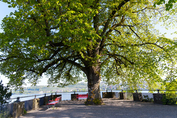 Park in the city of Rappeswil-Jona on a sunny spring day with red wooden benches. Photo taken April 28th, 2022, Rapperswil-Jona, Switzerland.