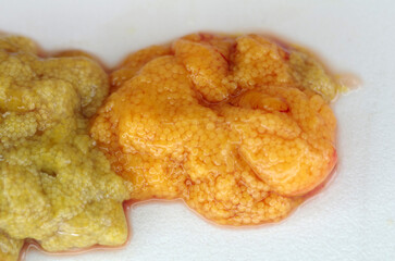 Caviar of river fish close up