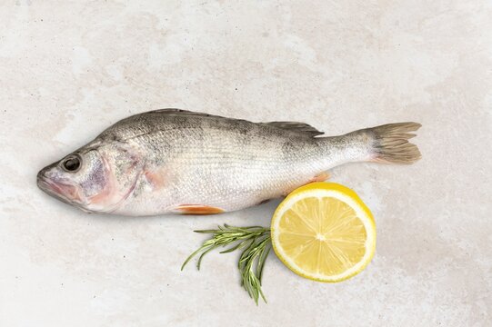 Fresh raw healthy fish, food concept