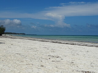 Fototapeta na wymiar Beach Sansibar