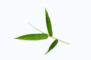 Fototapeta premium Bamboo leaves on white background.