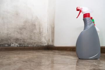 Close-up of a cleansing antifungal agent fighting mold in an apartment against a background with...