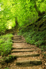 A stone staircase in the Mullerthal Trail, Luxembourg