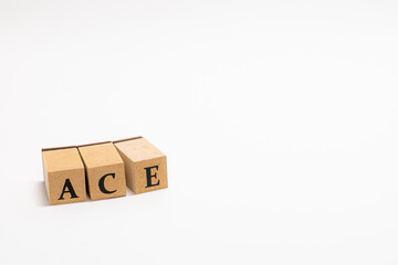 英単語　木ブロック　Word　ACE