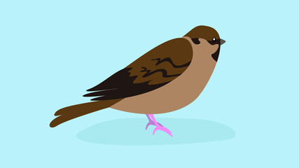 Sparrow sits and looks to the right