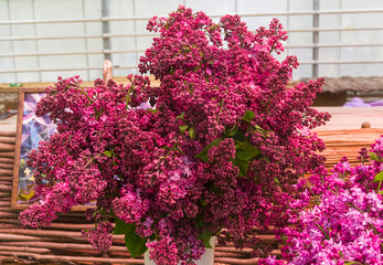 Beautiful bouquet of lilac