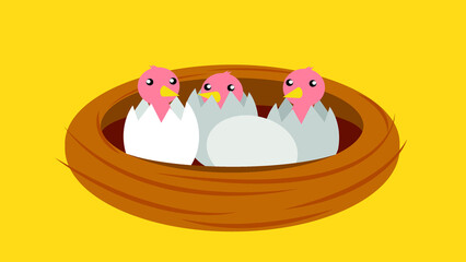 Pigeon chicks hatched from eggs © Volodymyr