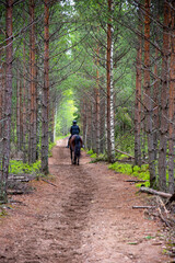 Obraz premium Woman horseback riding in forest path