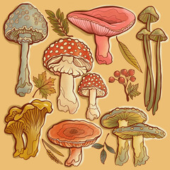 gentle warm cozy background seamless mushrooms  - 507806658