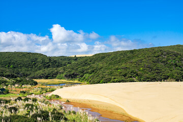 A nearly dry stream turning around giand sand dunes on its way to the ocean. Te Paki Sand Dunes,...