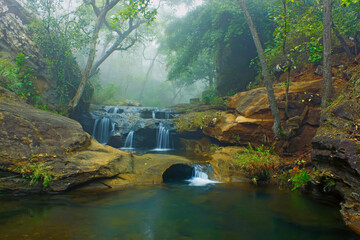 waterfall in the forest © Bhavya Joshi