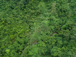 Obraz premium Aerial view of beautiful forest mountain landscape