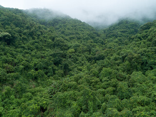 Aerial view of beautiful forest mountain landscape