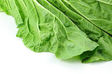 白菜の外側の葉