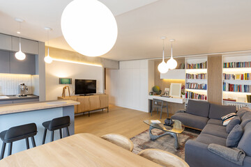 Living room interior with bookshelves in open plan apartment