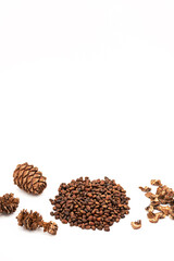 Cedar cones and unshelled pine nuts on white background.