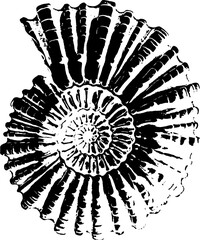 Vintage Scientific Sea Creature Organism Illustration
