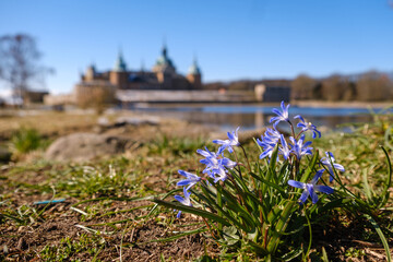 Kalmar castle in Sweden by the sea in spring © Vesna
