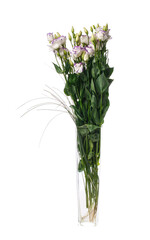 Naklejka na ściany i meble Pale purple eustoma flowers in a glass vase isolated on white background.