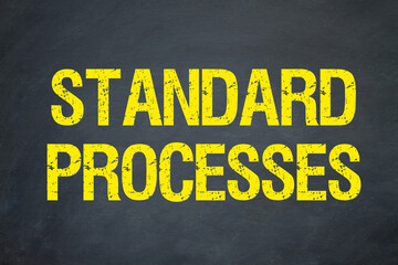 Standard Processes