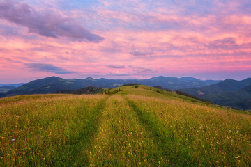 Amazing sunset mountain landscape. Scenic view of the summer alpine meadow, mountain range and colored sky with clouds, natural outdoor travel background, Carpathian Biosphere Reserve