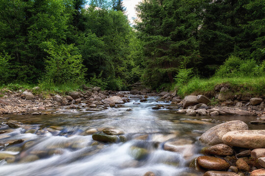 Summer in the Carpathian mountains. Scenic view of the mountain creek with stones and green forest, beautiful landscape, outdoor travel background