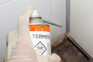 Spray chemicals to kill termites in the wall holes