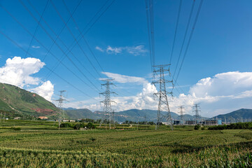 High voltage towers on a field of corn under a blue sky and white clouds.