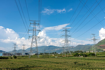 High voltage towers on a field of corn under a blue sky and white clouds.