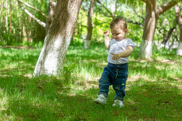 little child playing in the park, little child playing in the grass