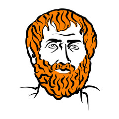 Aristotle vector drawing with surface for hair