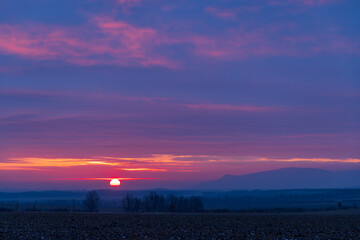 Sunrise in vineyards under Palava, Southern Moravia, Czech Republic