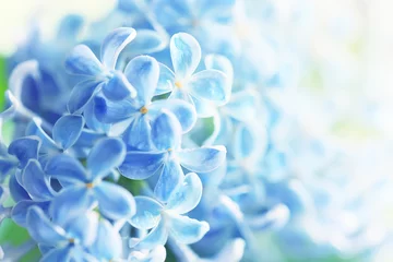 Wandcirkels aluminium blue background lilac flowers abstract, spring season light texture © kichigin19
