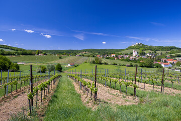 Fototapeta na wymiar Falkenstein ruins and town with vineyard, Lower Austria, Austria