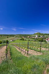 Fototapeta na wymiar Falkenstein ruins and town with vineyard, Lower Austria, Austria