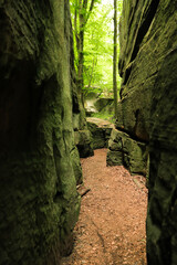 The rock labyrinth on the Mullerthal Trail, Luxembourg