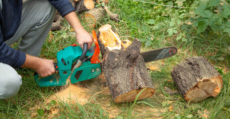 Man cutting wood with a chainsaw.