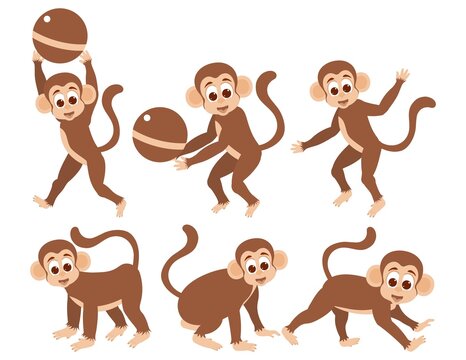 Several monkeys are sitting, jumping and playing with a ball.