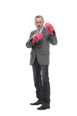 Fototapeta premium senior businessman wearing a gray suit with boxing gloves in a victory pose