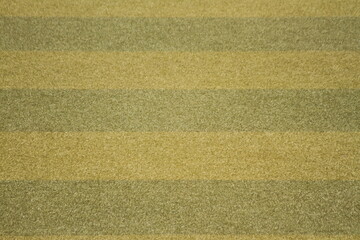 Fototapeta premium Green stripe grass in a ball park field in a fine day. Textured background.
