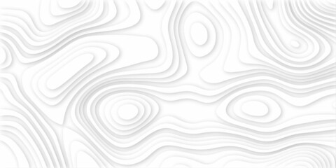 Abstract background vector pattern in illustration . Paper cut vector art background banner texture website template, 3D papercut layers, Abstract paper cut white background in illustration .