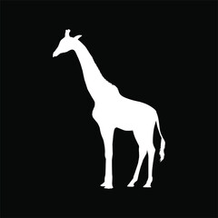 Obraz na płótnie Canvas Giraffe Silhouette for Logo or Graphic Design Element. Vector Illustration