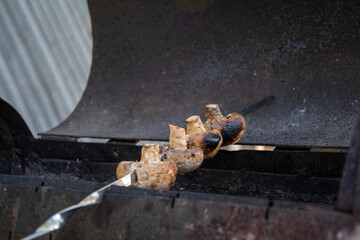 Picnic by the lake, family vacation in nature on the shore of the lake, catamaran, couple in love, family in nature, barbecue, barbecue, tourism, travel, fishing, mushrooms, fishing rod, tent