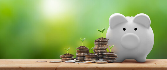 White piggy bank and coin stacks with plant growing on coins on wooden table  -Business Finance,...
