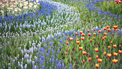 チューリップなどの花壇