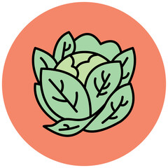 Cabbage Icon